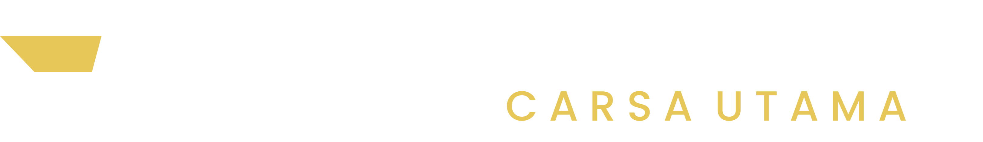 Logo Footer